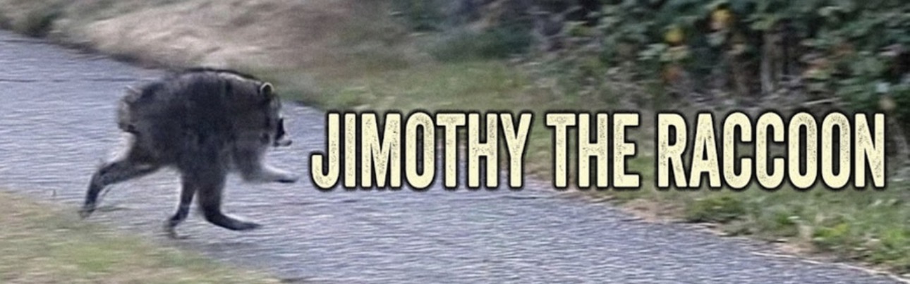 Jimothy The Raccoon banner